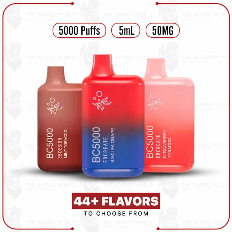 BC5000 Vape Disposable