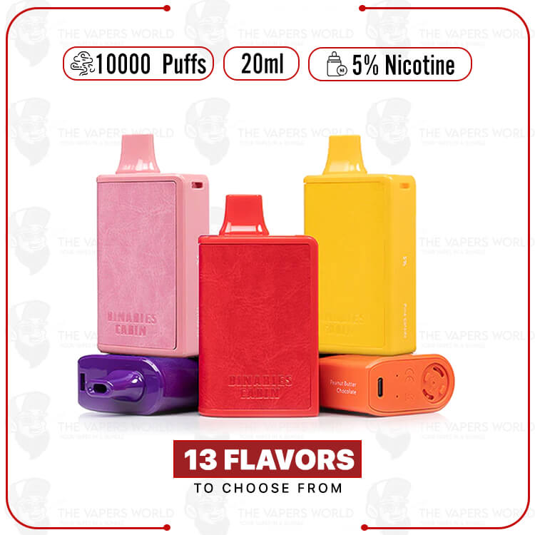 Horizon Binaries Cabin Disposable 10000 Puffs