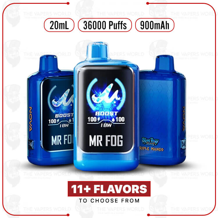 Mr Fog Nova 36K Puffs Blue Razz Steezy Series Disposable