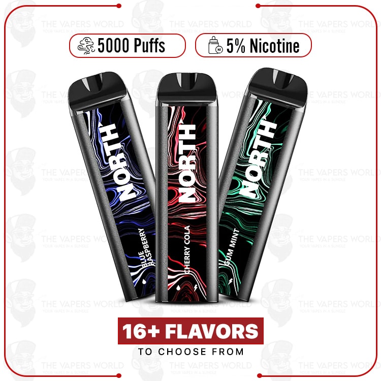 North 5000 Puffs Disposable Vape