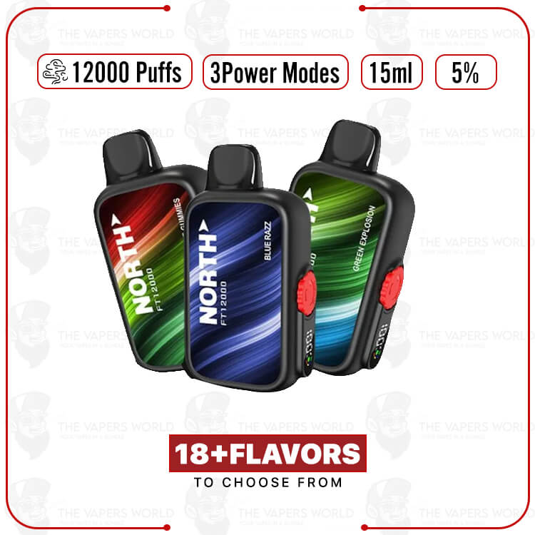 North FT12000 Disposable Vape