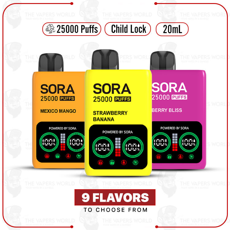 Sora 25K Puffs Disposable Vape – Fruit Series