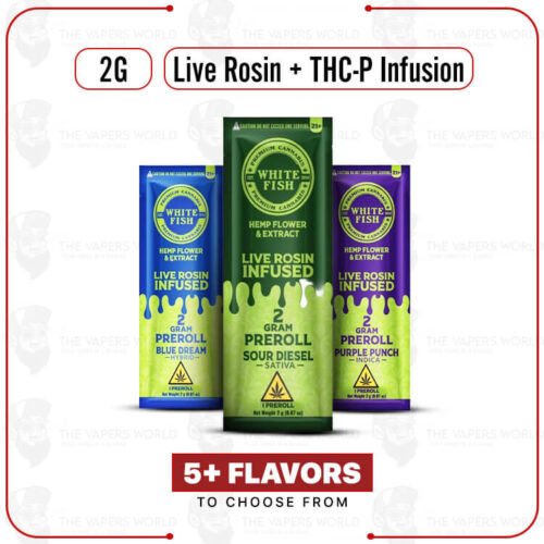 White Fish Live Rosin Infused Prerolls 2G