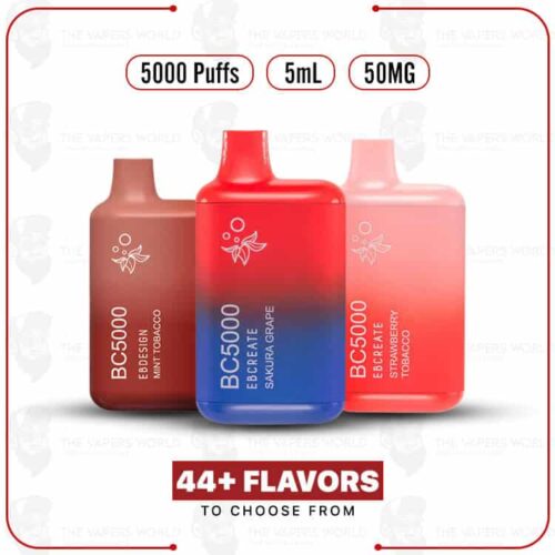 BC5000 Vape Disposable