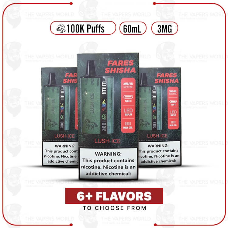 WiWi Fares Shisha 100K Puffs Disposable Vape - 3MG