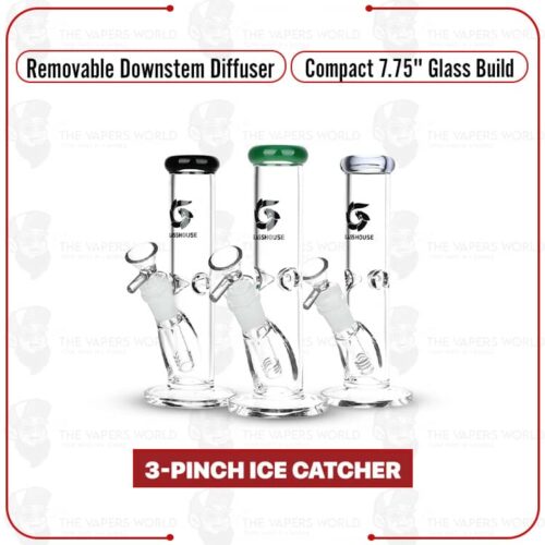 GlassHouse Straight Tube Glass Water Pipe