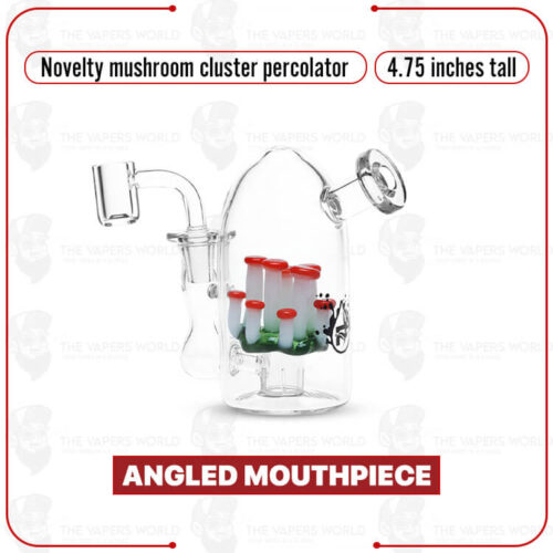 Pulsar Mushroom Glass Dab Rig